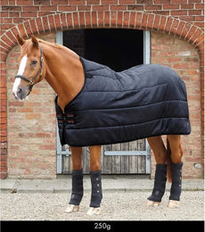 Premier Equine Lucanta Unterdecke für Pferde Schwarz 198 cm – Bild 1 von 1