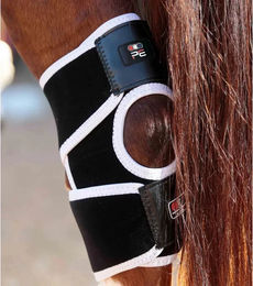 Premier Equine Magni-Teque Magnetische Knieschützer für Pferde aus Neopren Schwarz – Bild 1 von 6