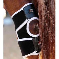 Produktbild von Premier Equine Magni-Teque Magnetische Knieschützer für Pferde aus Neopren Schwarz