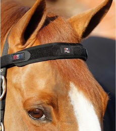 Produktbild von Premier Equine Magni-Teque Magnetisches Stirnband für Pferde Schwarz