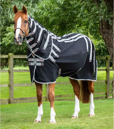 Premier Equine Magni-Teque Outdoor-Pferdedecke mit Magnetverschluss in Schwarz – Bild 1 von 5