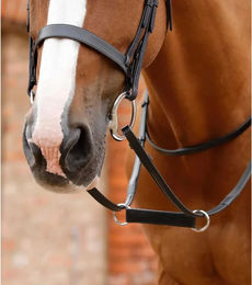 Premier Equine Martingal Esperia Irish aus Leder für Pferde in Schwarz – Bild 1 von 3