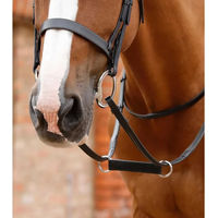 Produktbild von Premier Equine Martingal Esperia Irish aus Leder für Pferde in Schwarz