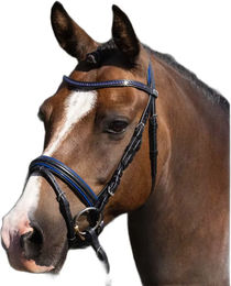 Produktbild von Premier Equine Mineo Reittrense aus Leder für Ponys in Blau oder Schwarz