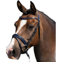 Produktbild von Premier Equine Mineo Reittrense aus Leder für Ponys in Blau oder Schwarz