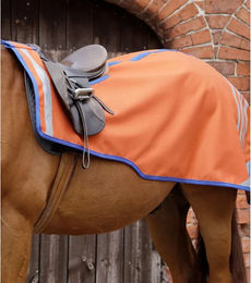 Premier Equine Nierendecke für Pferde Stratus Orange XL – Bild 1 von 5