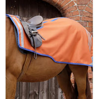 Produktbild von Premier Equine Nierendecke für Pferde Stratus Orange XL