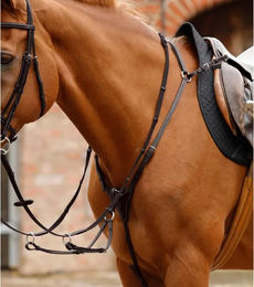 Premier Equine Norbello Vorderzeug für Pferde aus Kunstleder in Braun – Bild 1 von 2