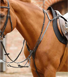 Premier Equine Norbello Vorderzeug für Pferde in Schwarz – Bild 1 von 3
