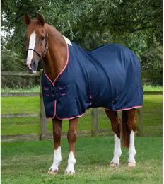 Premier Equine Outdoor-Decke Cooler Buster für Pferde Blau – Bild 1 von 6