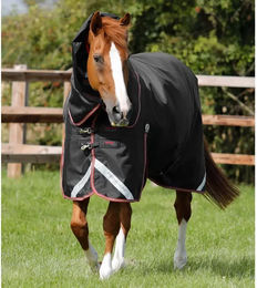 Premier Equine Outdoor-Decke für Pferde mit Nackenrolle Titan Schwarz 1680 Denier 152 cm – Bild 1 von 4
