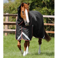 Produktbild von Premier Equine Outdoor-Decke für Pferde mit Nackenrolle Titan Schwarz 1680 Denier 152 cm