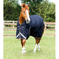 Produktbild von Premier Equine Outdoor-Decke für Pferde aus Nylon in Blau 183 cm - 100 g