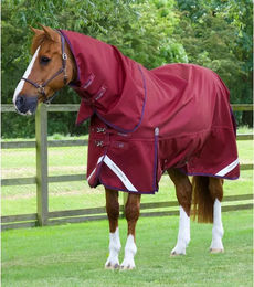 Premier Equine Outdoor-Decke für Pferde mit Halsteil aus Nylon in Grau und Rot – Bild 1 von 5