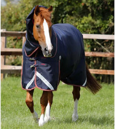 Premier Equine Outdoor-Decke für Pferde mit Nackenrolle aus Nylon in Blau 168 cm – Bild 1 von 6