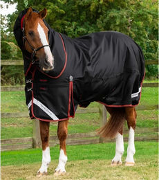 Premier Equine Outdoor-Decke für Pferde mit Nackenrolle aus Nylon in Schwarz 450 g – Bild 1 von 4