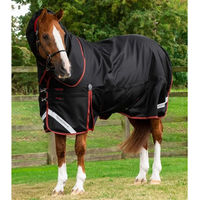 Produktbild von Premier Equine Outdoor-Decke für Pferde mit Nackenrolle aus Nylon in Schwarz 450 g