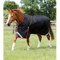 Produktbild von Premier Equine Outdoor-Decke Turnout Rug 450 g Schwarz aus Nylon - 450 g