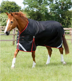 Produktbild von Premier Equine Outdoor-Decke Turnout Rug 450 g Schwarz aus Nylon - 450 g