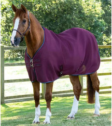 Produktbild von Premier Equine Pferdedecke Airflow Cooler aus Jersey in Rot oder Lila