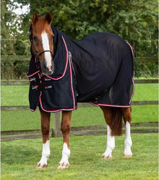 Premier Equine Pferdedecke mit Ionair Ceramic Technology in Schwarz – Bild 1 von 1