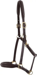 Premier Equine Pferdehalfter aus Leder gepolstert Braun – Bild 1 von 4