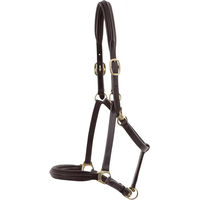 Produktbild von Premier Equine Pferdehalfter aus Leder gepolstert Braun XL