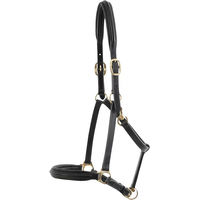 Produktbild von Premier Equine Pferdehalfter aus Leder gepolstert Schwarz XL