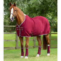 Produktbild von Premier Equine Premtex Abschwitzdecke für Pferde in Rot