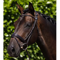 Produktbild von Premier Equine Reiterbraut Finetti Trense aus Leder in Braun für Vollblut/VB