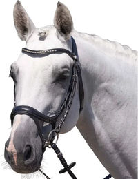 Produktbild von Premier Equine Reiterbraut Palazzo Trense aus Leder in Schwarz Größe XFull