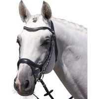 Produktbild von Premier Equine Reiterbraut Palazzo Trense aus Leder in Schwarz Größe XFull