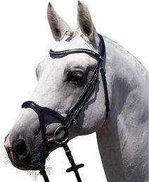 Premier Equine Reiterbraut San Paolo Leder Trense in Schwarz für Cob Pferde – Bild 1 von 1