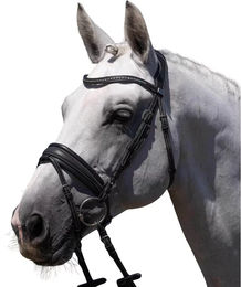 Produktbild von Premier Equine Reiterbraut Veneto Trense aus Leder in Schwarz Full