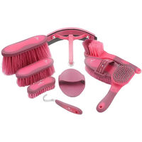 Produktbild von Premier Equine Reitputzset