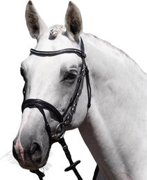 Produktbild von Premier Equine Rivere Reittrense aus Leder in Schwarz Größe XFull