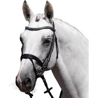 Produktbild von Premier Equine Rivere Reittrense aus Leder in Schwarz Größe XFull