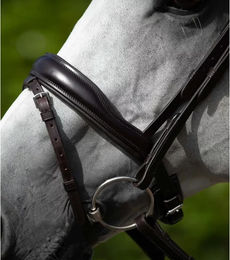Produktbild von Premier Equine Rizzo Leder Trense mit kombiniertem Reithalfter Braun XFull