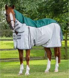 Produktbild von Premier Equine ShowerTex Fliegendecke aus Polyester in Grün-Weiß