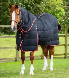 Produktbild von Premier Equine Stable Buster Stalldecke mit Halsteil in Schwarz aus Polyester - 450 g