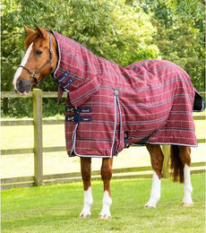Premier Equine Stalldecke Domus für Pferde in Burgundy Check 160 cm - 160 cm – Bild 1 von 4