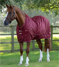 Premier Equine Stalldecke für Pferde 200g – Bild 1 von 1