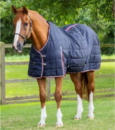 Premier Equine Stalldecke für Pferde aus Polyester in Blau Marine 183 cm - 100 g – Bild 1 von 3