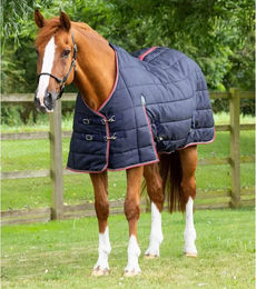 Premier Equine Stalldecke für Pferde Blau Marine 160 cm – Bild 1 von 3