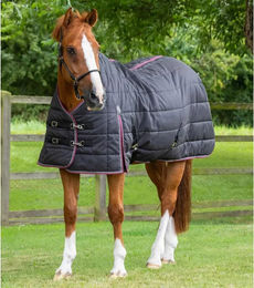 Premier Equine Stalldecke für Pferde Schwarz 160 cm - 200 g – Bild 1 von 3