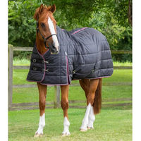 Produktbild von Premier Equine Stalldecke für Pferde Schwarz 160 cm - 200 g