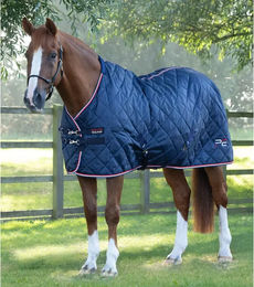 Produktbild von Premier Equine Stalldecke für Pferde aus Polyester in Blau