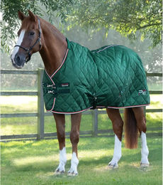 Produktbild von Premier Equine Stalldecke für Pferde aus Polyester in Grün