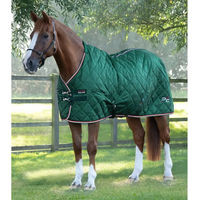 Produktbild von Premier Equine Stalldecke für Pferde aus Polyester in Grün
