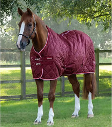 Produktbild von Premier Equine Stalldecke für Pferde aus Polyester in Rot